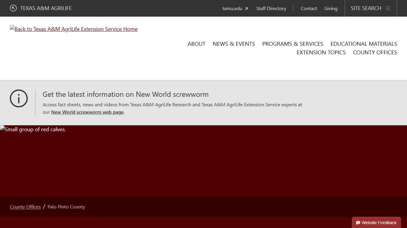 Palo Pinto County - Texas A&M AgriLife Extension Service